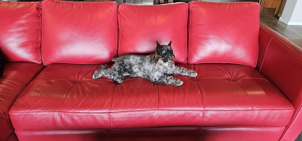 Chuck Webster MD, MS AI, MS Systems Engineering tweet media