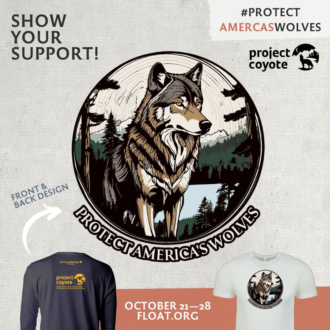 ProjectCoyote's tweet image. Get ready to #ProtectAmericasWolves! Starting Monday, you can lead the pack with our limited-edition collection of clothing. For every item sold, $8 goes directly to our Wild Carnivore Legal Defense Fund!

🐾 Order at FLOAT.org starting October 21st