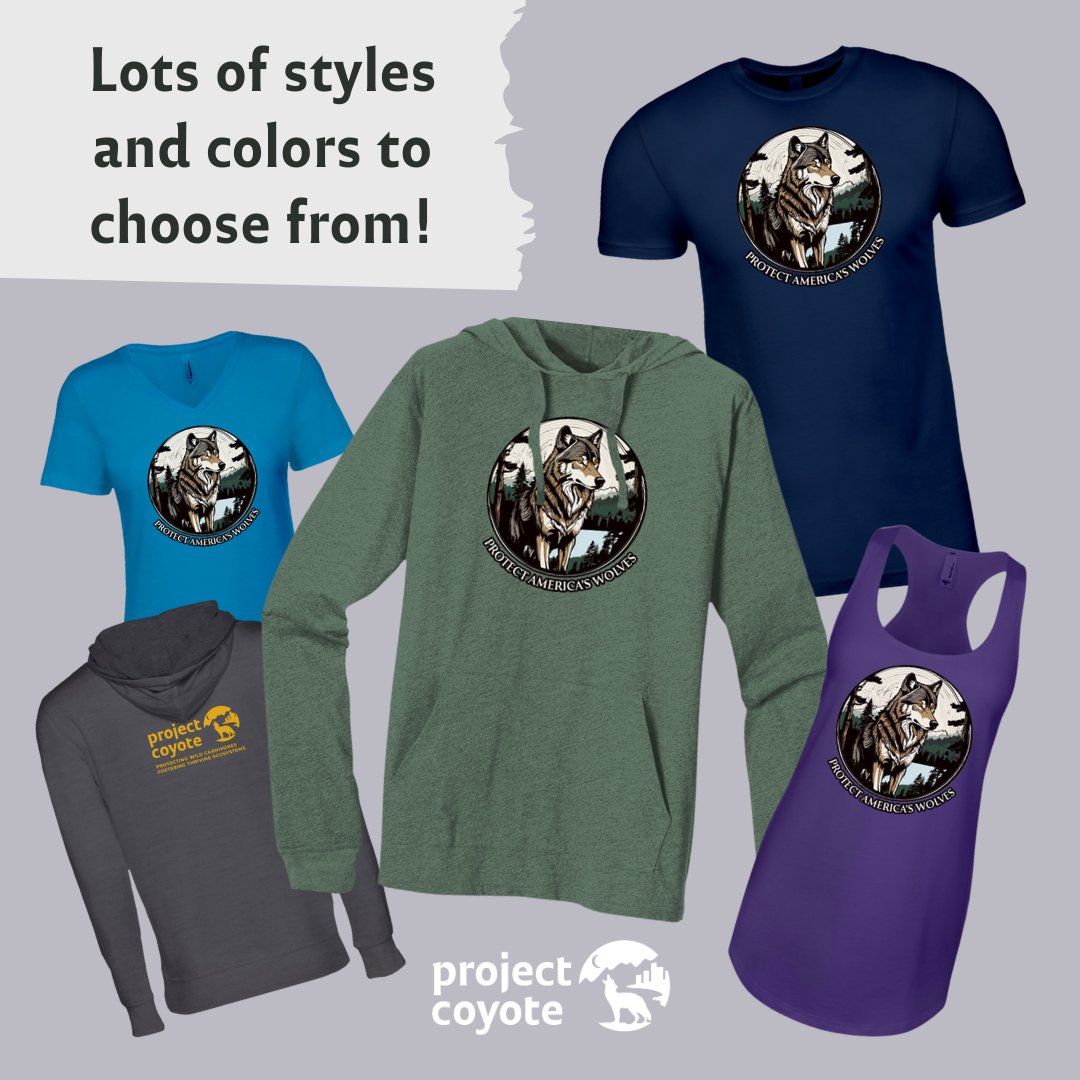 ProjectCoyote's tweet image. Get ready to #ProtectAmericasWolves! Starting Monday, you can lead the pack with our limited-edition collection of clothing. For every item sold, $8 goes directly to our Wild Carnivore Legal Defense Fund!

🐾 Order at FLOAT.org starting October 21st