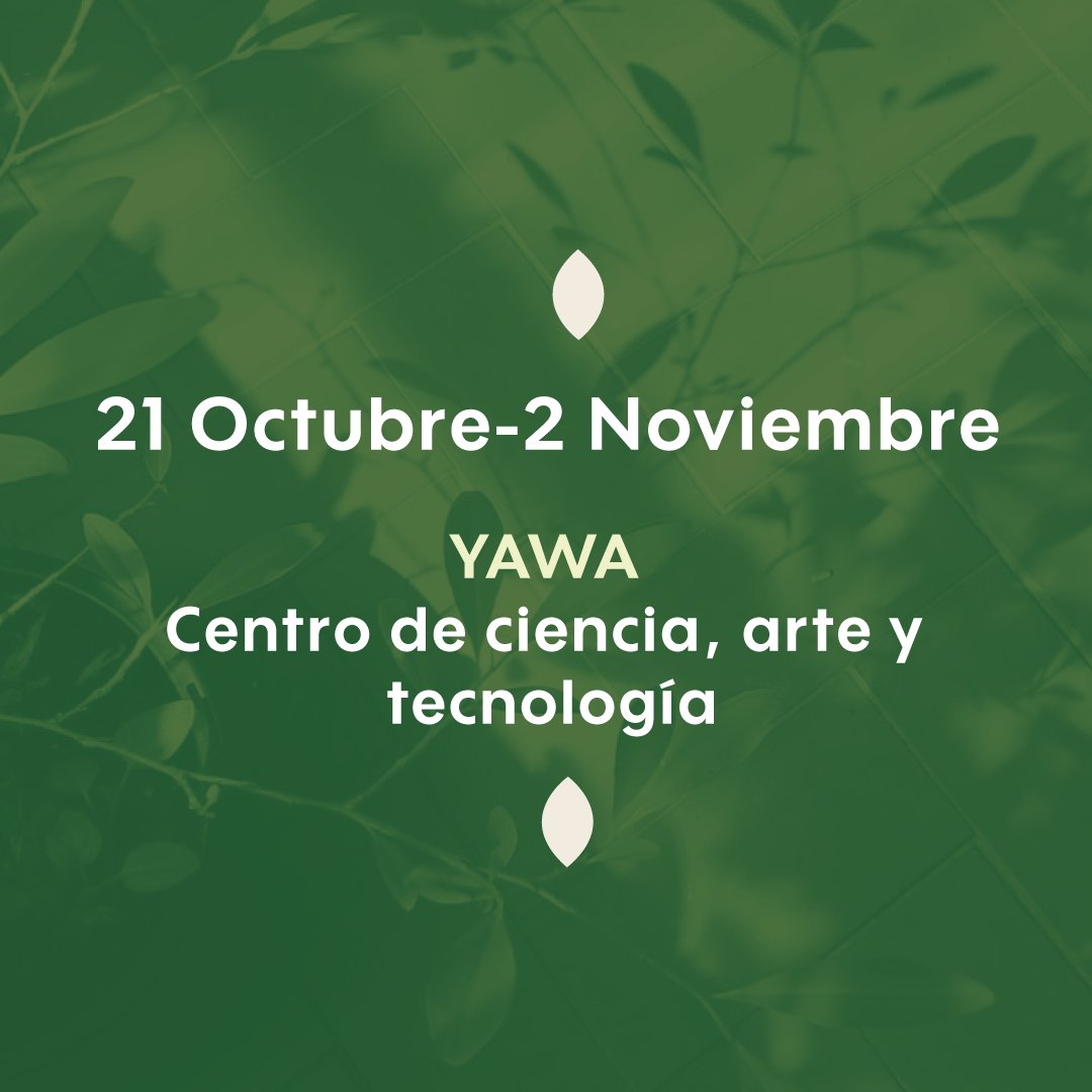 Acompañanos en la Cop 16 donde vamos a traer a Cali una variedad de productos con hoja de coca de diferentes lugares del país.
#COP16Colombia #COP16Colombia
