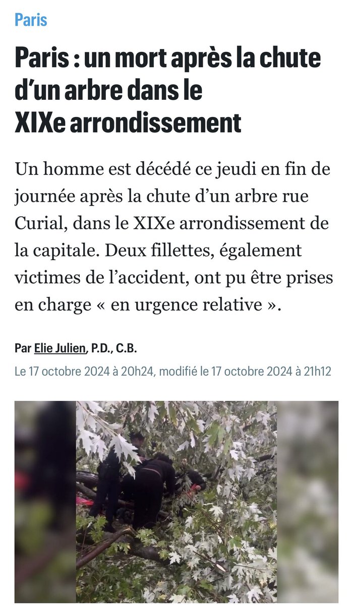 robindesvilles4's tweet photo. @C_Najdovski @BucheronsParis @mtwit75 Est-ce lié au manque de personnels et plus précisément au sein des bûcherons ou un accident bête ? 🤔 https://t.co/niwvxzsR2q