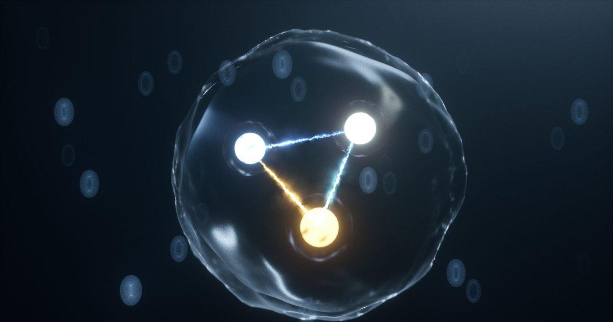 muyinteresante's tweet photo. Desvelando el núcleo atómico: un modelo que revela la dinámica de quarks y gluones. https://t.co/C8frHtGMSl https://t.co/eTY6SsdzEu