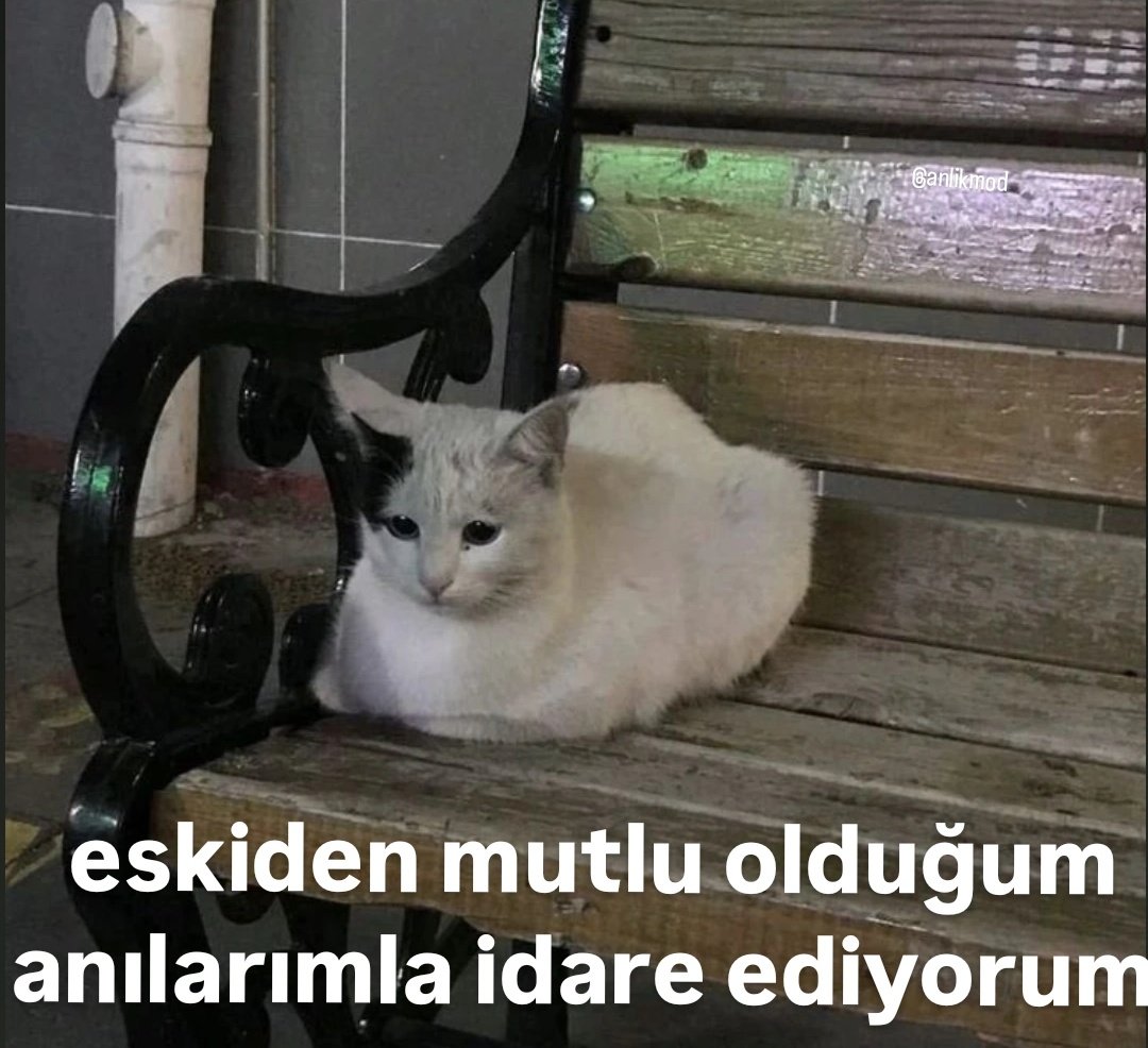 ANLIK (@anlikmod) on Twitter photo 