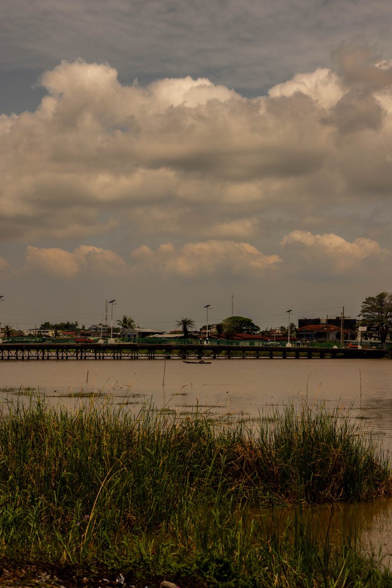 Scheena Donia tweet media