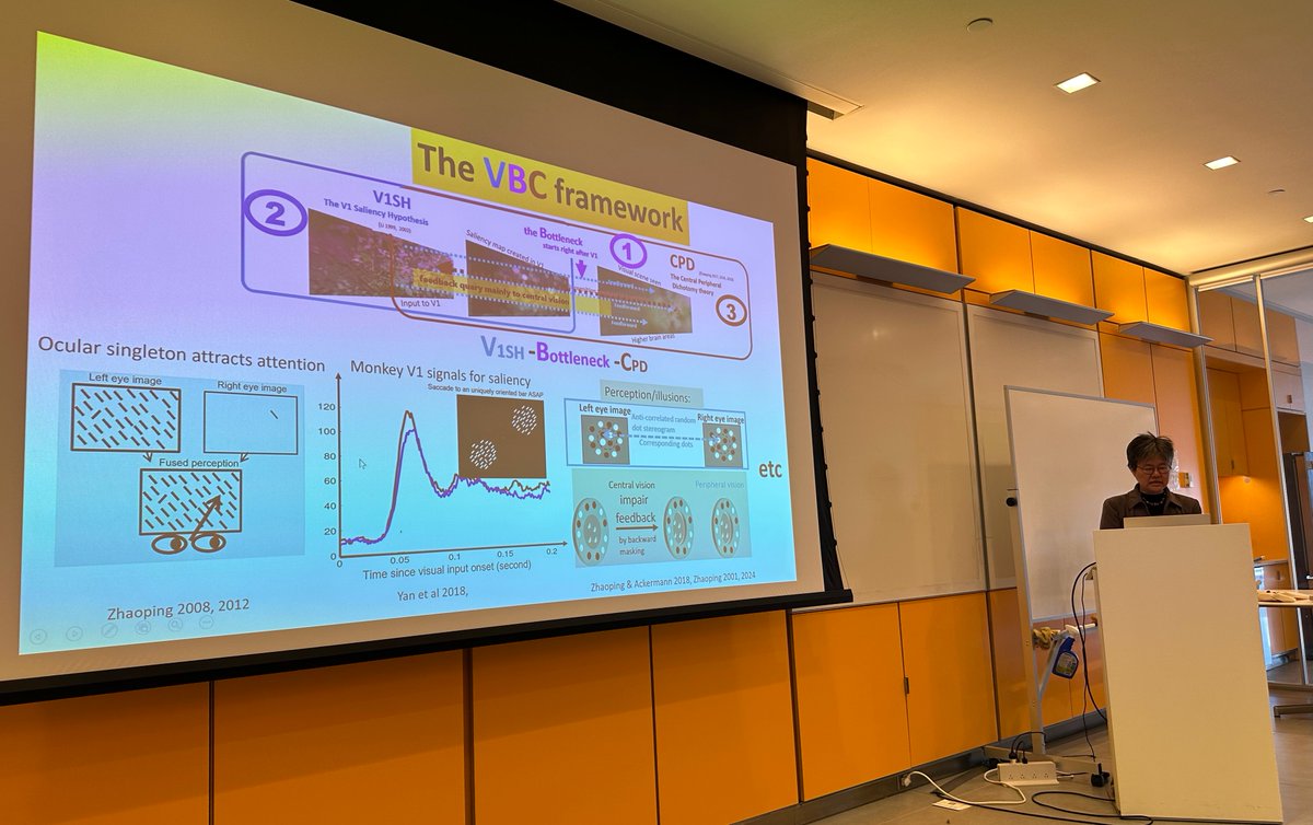 Amazing talk by Li Zhaoping (<a href="/Li_Zhaoping/">Li Zhaoping</a>) on: 

"Looking and Seeing through a Bottleneck: a VBC Framework for Vision, from the Perspective of Primary Visual Cortex"

See her 2024 paper "Peripheral vision is mainly for looking rather than seeing": sciencedirect.com/science/articl…