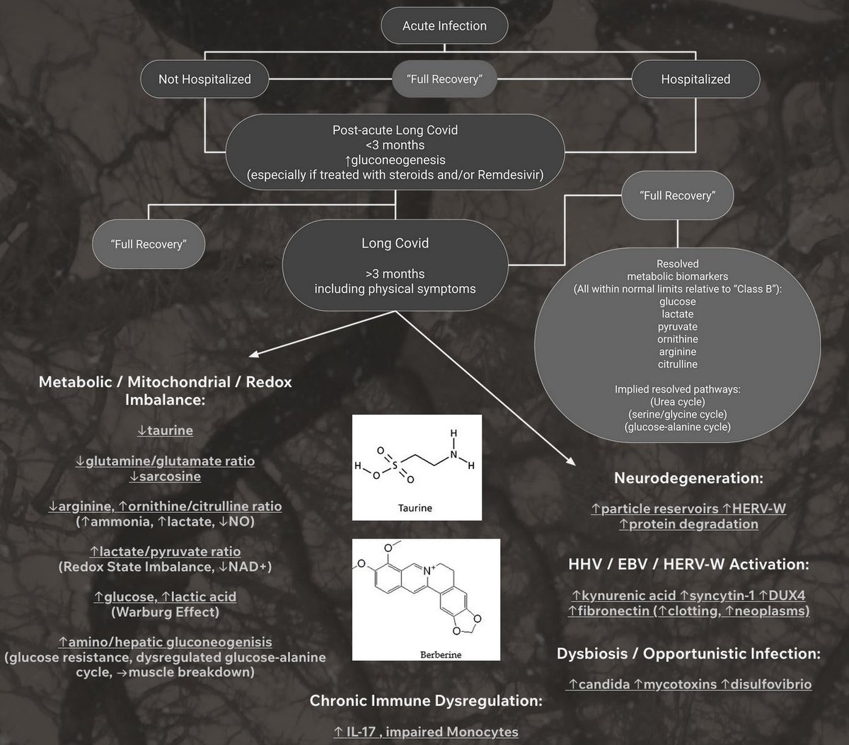 blkbrrie's tweet photo. anyway, if you or someone you know are dealing with long covid currently OR you expect you might in the future, this is the single best diagram &amp; single best paper have found to explain what’s happening to your body (link to paper below): https://t.co/TgHDQJzYhR