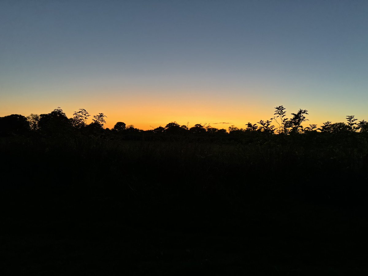 NeverTwoLate1's tweet photo. What a beautiful sunset. Love this mooring just outside Brinklow.
#sunset
#narrowboatlife
#wonderfulllife
#boatsthattweet https://t.co/j6E75uSfr0