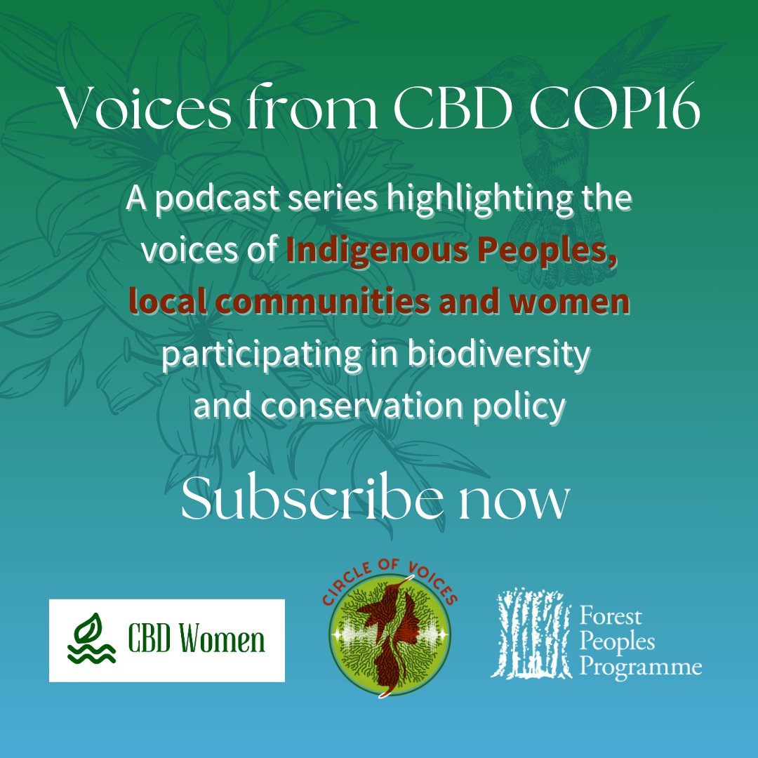 New podcast series to be released during #COP16Colombia! In partnership with <a href="/ForestPeoplesP/">Forest Peoples Programme</a> and <a href="/cbd_wc/">CBD Women's Caucus</a> highlighting key demands and priorities for Indigenous Peoples, local communities &amp; women taking part in the upcoming <a href="/COP16Oficial/">COP16 COLOMBIA 🇨🇴</a>.
▶️ Subscribe here: youtube.com/@circleofvoice…
