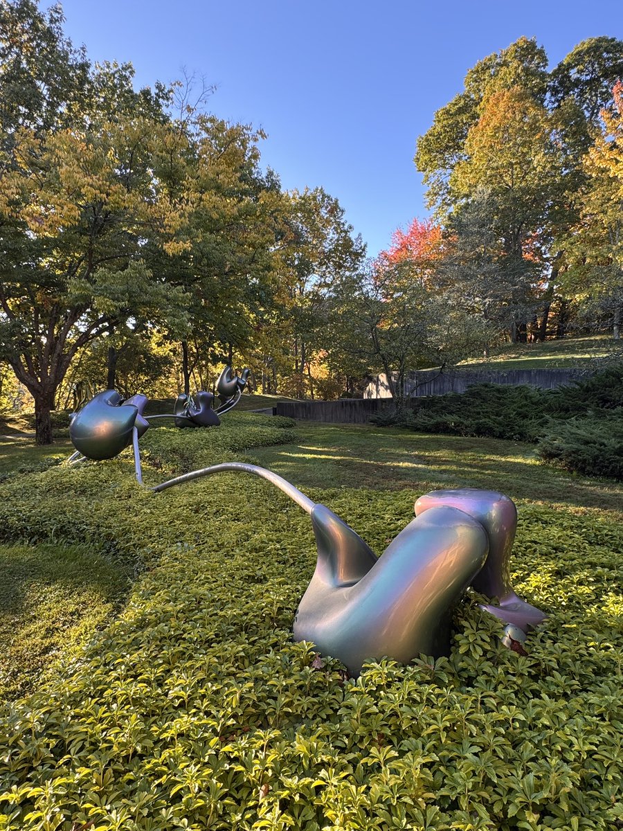 Jason Shepherd tweet media