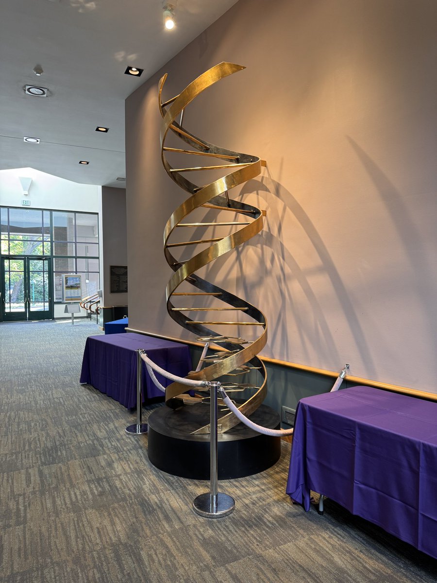 Jason Shepherd tweet media