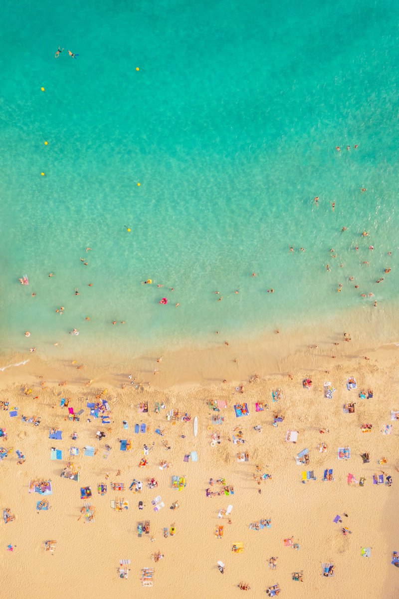 Ross Farnham tweet media