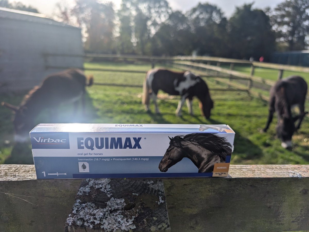 YH_SmallHolding's tweet image. Jasmine, Dave and Rupert had a visit from the farrier today to trim their hooves and after they were wormed to protect them from tapeworm, they were all superstars! @YorkHouseSch #smallholding