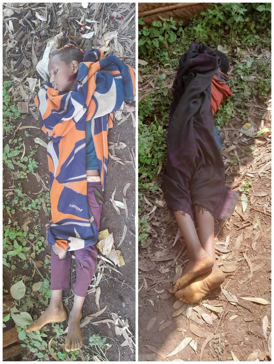 TheDejazmach's tweet photo. [Update Oct. 17/24] Victims of today's drone attack on Afesa town were identified as Hiwot Yaregal and Yilkal Yaregal📸 who were brothers aged 10 and 12 years old. Both were students of the Ambita Yohannes Church and were killed when they were looking after animals outside Afesa Secondary School.

⚠️TW: Graphic images of deceased victims (children)
#WarOnAmhara