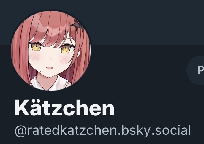 Kätzchen tweet media