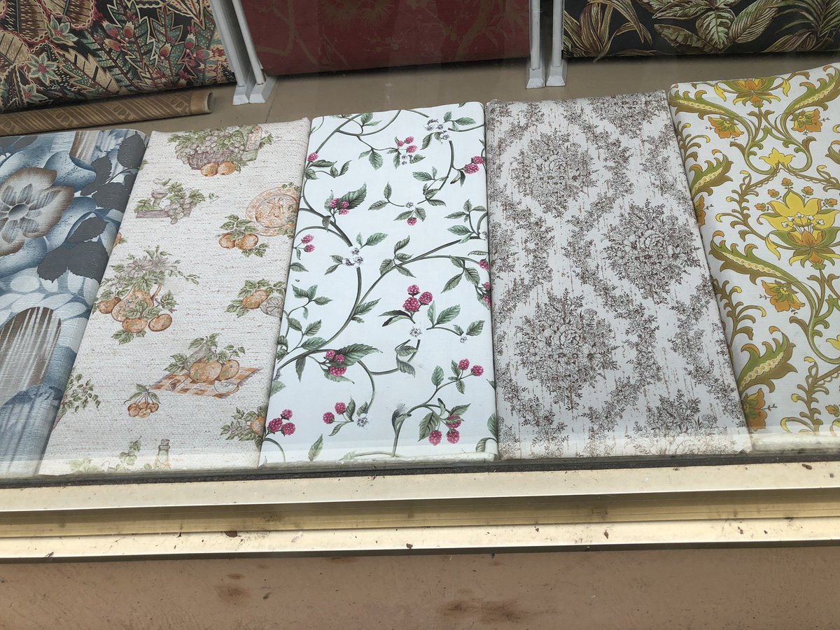 Lissa Evans tweet media