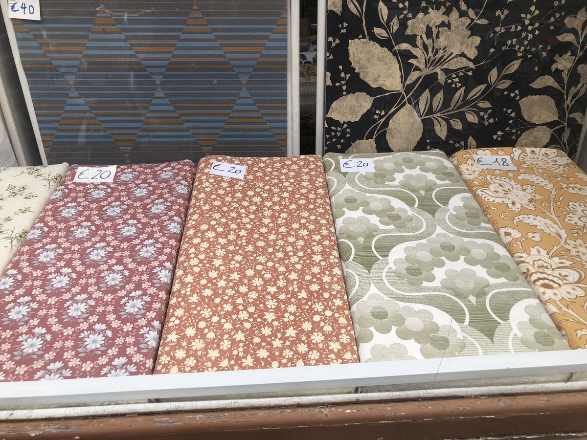 Lissa Evans tweet media