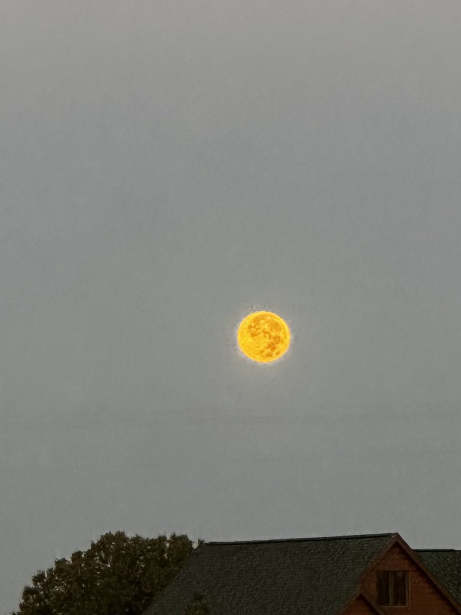 steve arthur 🚀🌱🌶✨ tweet media