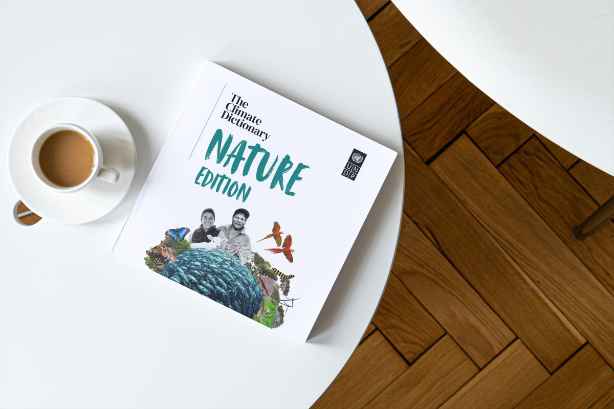 As #COP16 and #COP29 approach, check out <a href="/UNDP/">UN Development</a>’s Climate Dictionary: Nature Edition, a definitive guide to the key terms: go.undp.org/oxv