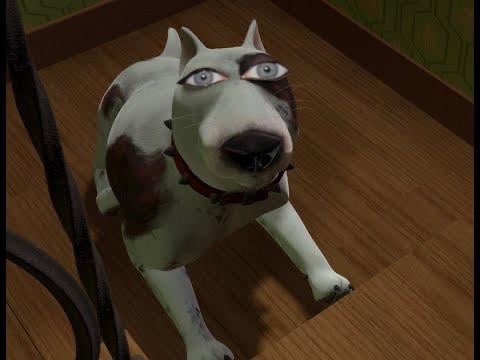 Bebe (@beefjuice2020) on Twitter photo 