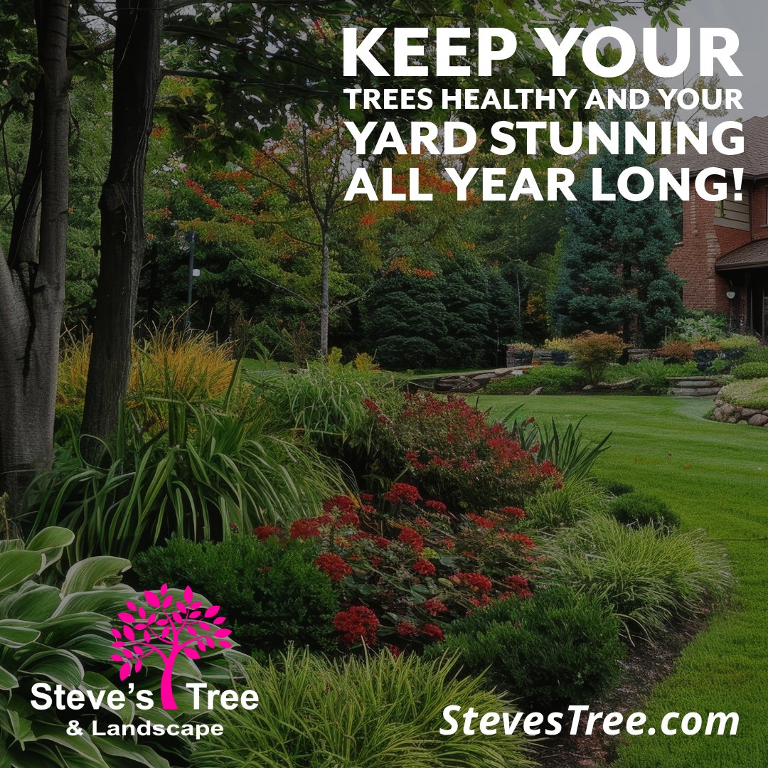 StevesTreeLand's tweet photo. 🌳 Keep your trees healthy and your yard stunning all year long!

The Best Tree Services in Miami Beach:. 
https://t.co/upgOH7o583

🌱 Our certified arborists and landscaping professionals ensure your outdoor space thrives.

#TreeService #LandscapingExperts #GreenThum... https://t.co/jDnssGJLOJ