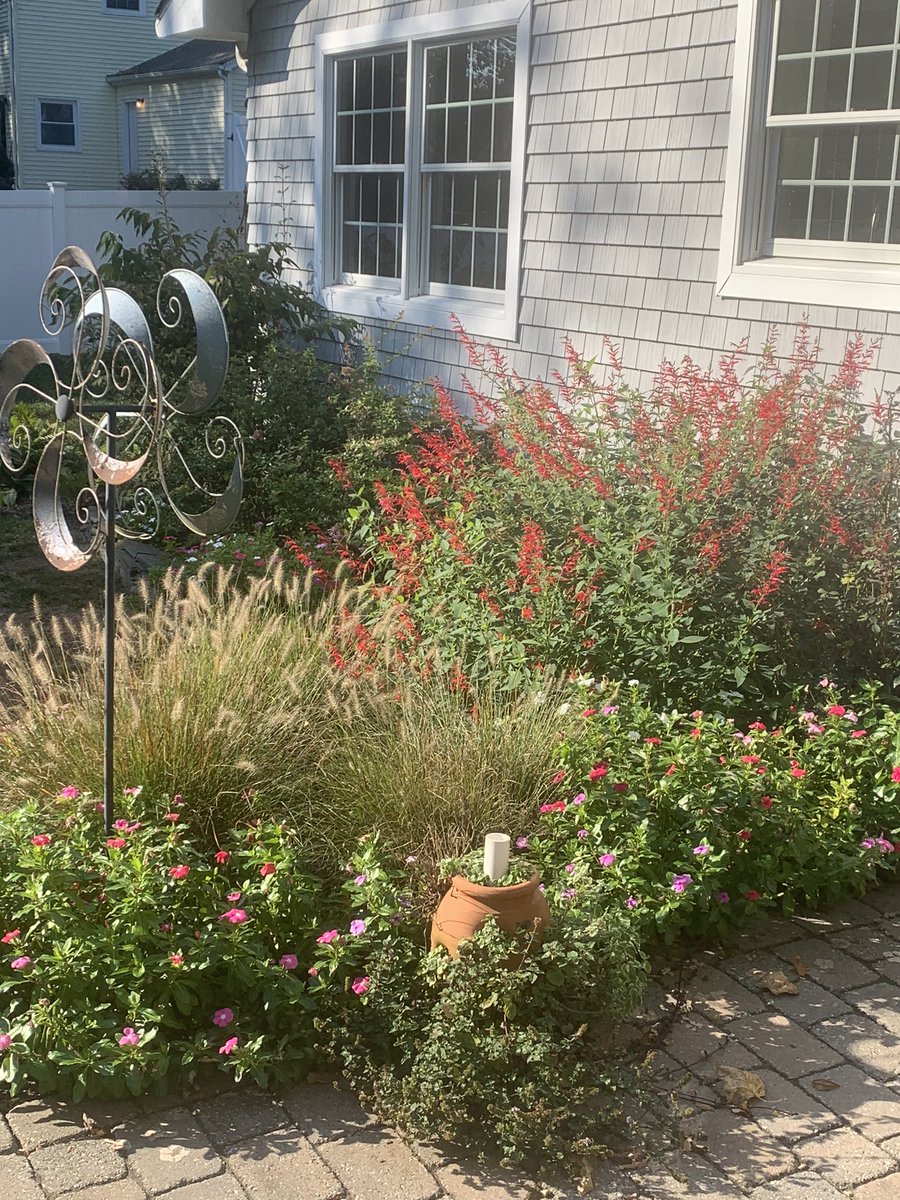 urbfer's tweet photo. Last of the flowers still holding on. https://t.co/tpjsimKCJG