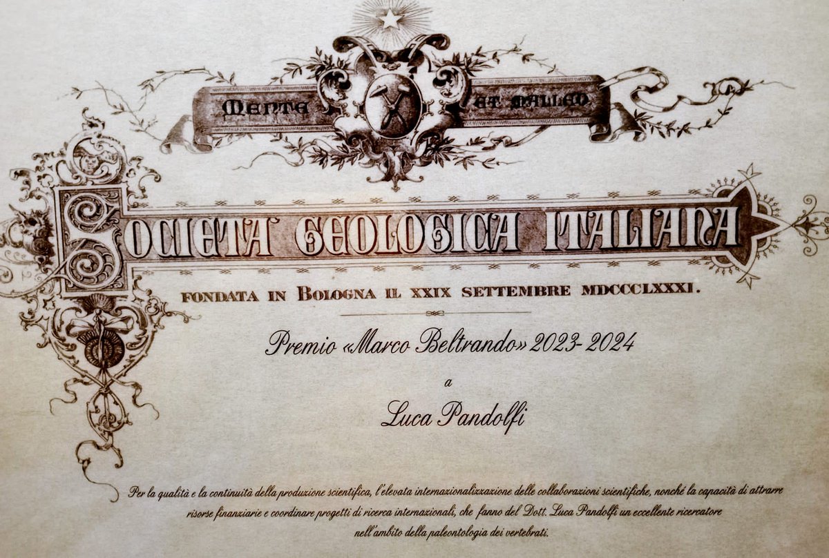 Luca Pandolfi tweet media