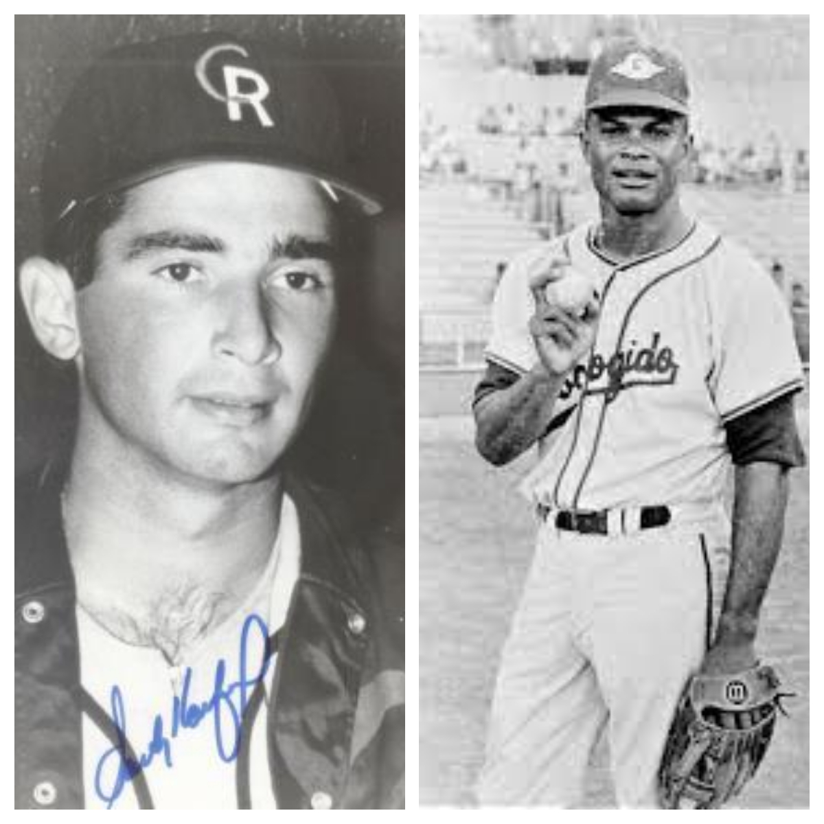GazcueesArte's tweet image. #UnDiaComoHoy 1956: Sandy Koufax lanzó en el Estadio Trujillo con los Criollos de Caguas, de Puerto Rico y el Escogido ganó 6-5, debutando como profesional Felipe Rojas Alou. Koufax lanzó tres episodios.
.
#SandyKoufax #CriollosDeCaguas #puertorico #leonesdelescogido #felipealou