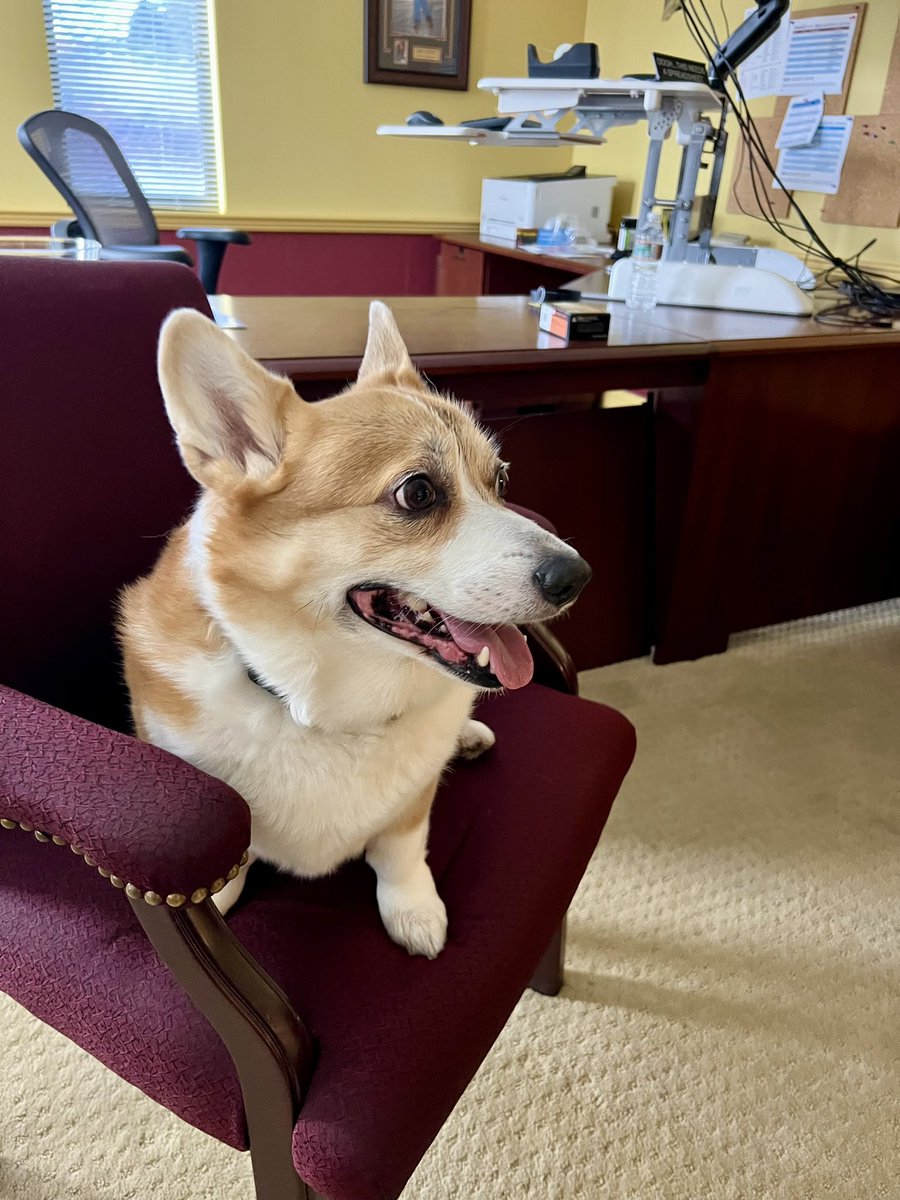 Bowie would like to see you in his office