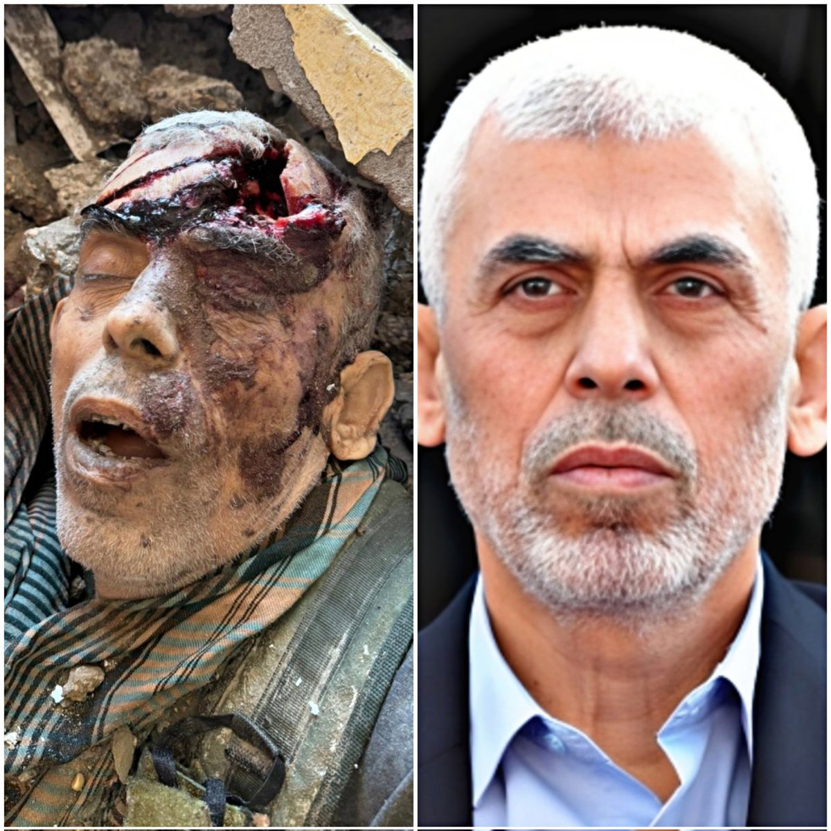 Lady Market tweet media