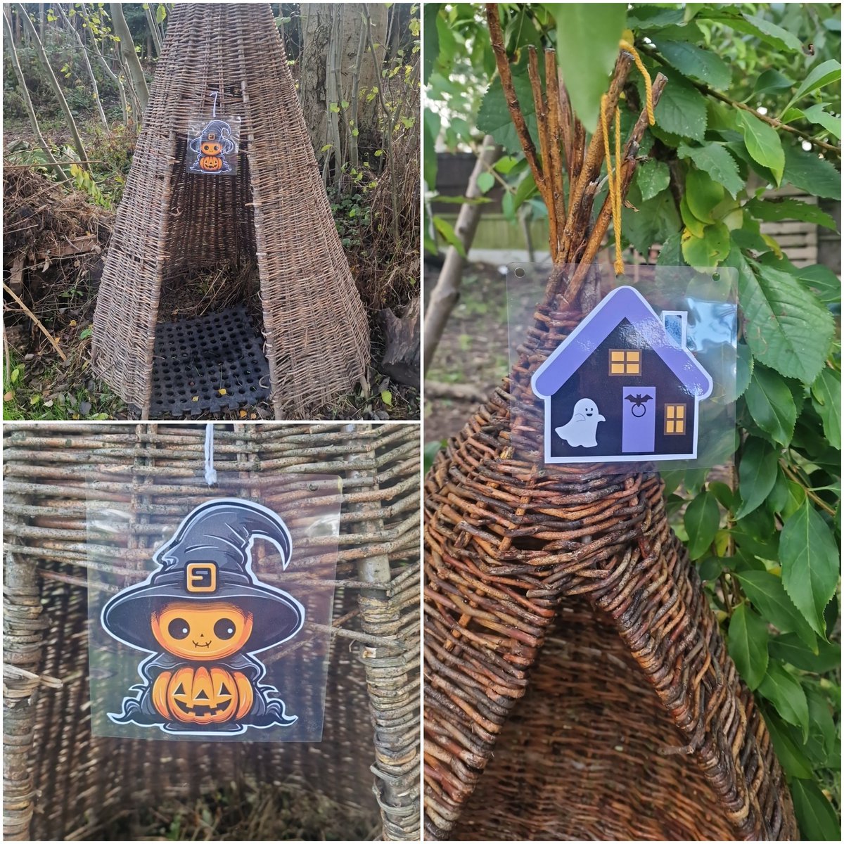 Wild Bears Forest School CIC tweet media