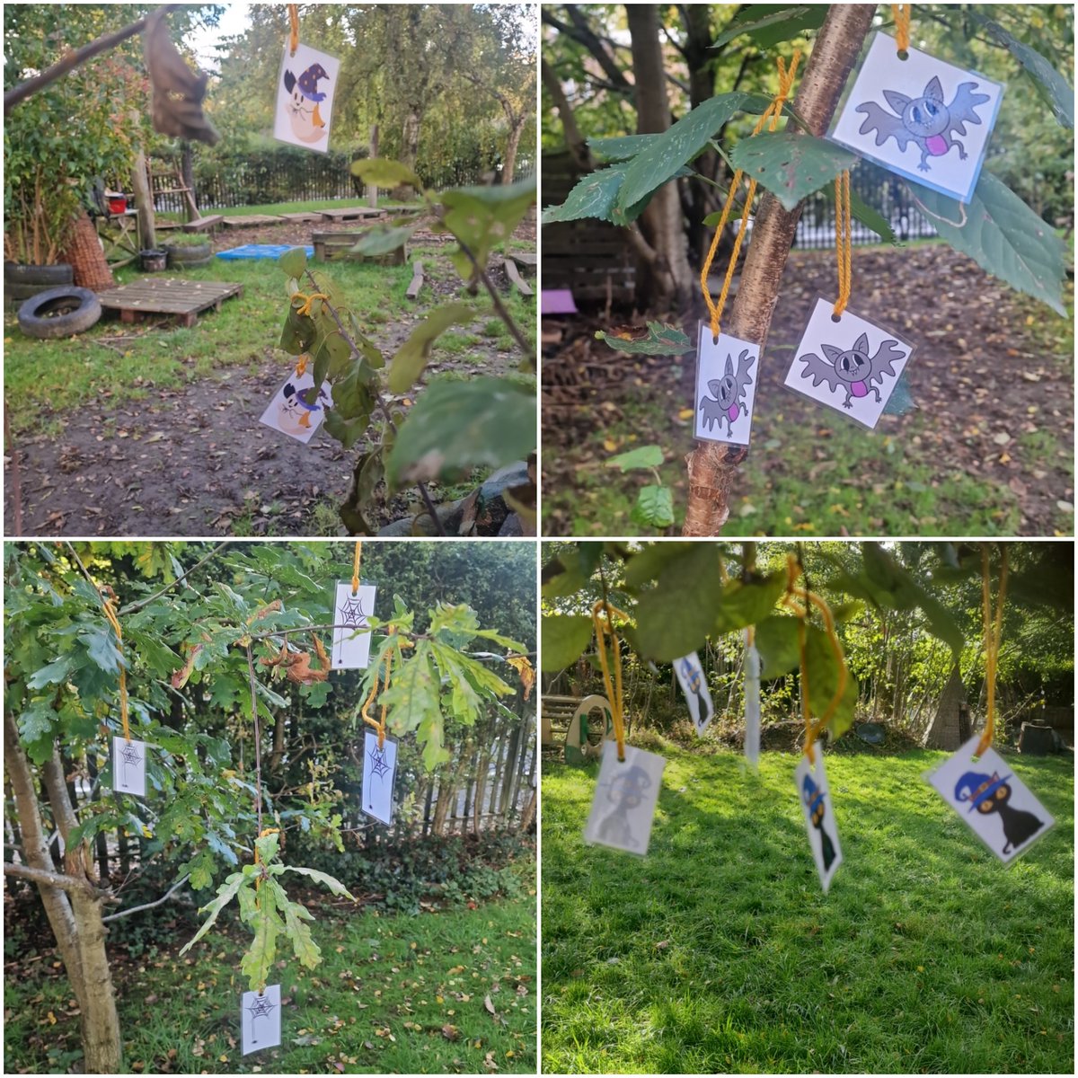 Wild Bears Forest School CIC tweet media