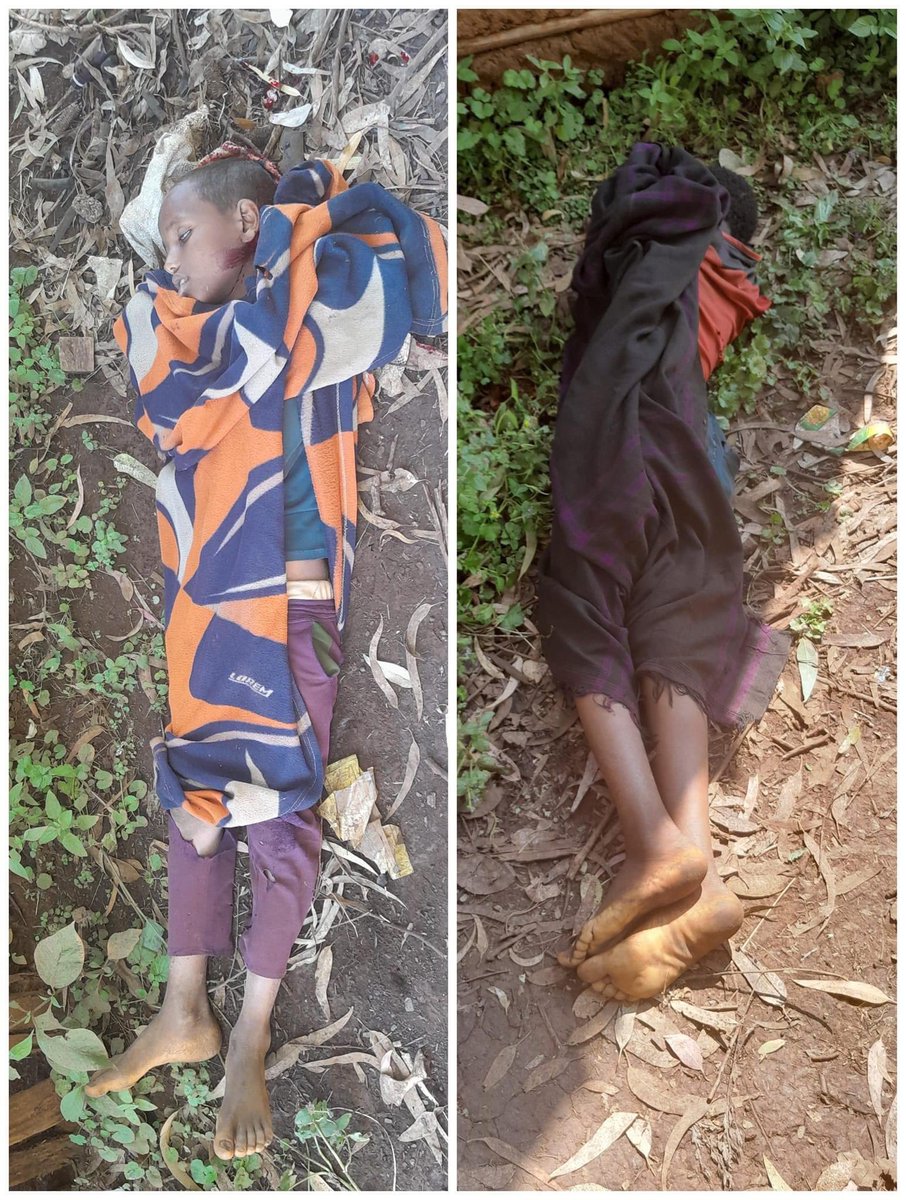 AbaynehKassie's tweet photo. When you challenge the victimization of innocents. The military head and the gov’t contracted activities will reply the same way. “Aren’t we in fighting?”. 

Trust me they’re 💯 % against the #Amhara in whole. https://t.co/vjs4sQcB8f