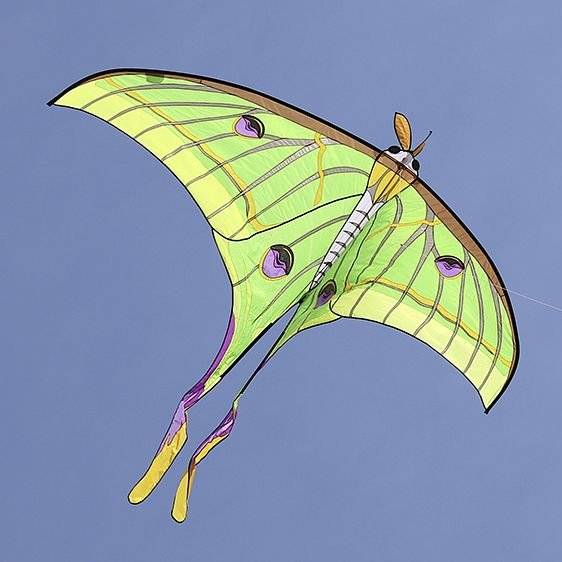 The saints are more exposed to the devil, because real knowledge of their wretchedness makes the light almost intolerable.