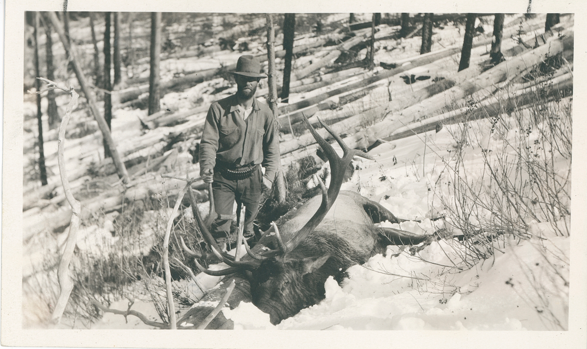 FieldandStream's tweet image. "Charlie and his large bull." 

— March 1936. F&amp;amp;S Photo Archives.

#TheLegendLives #FSThrowbackThursday #ElkHunting