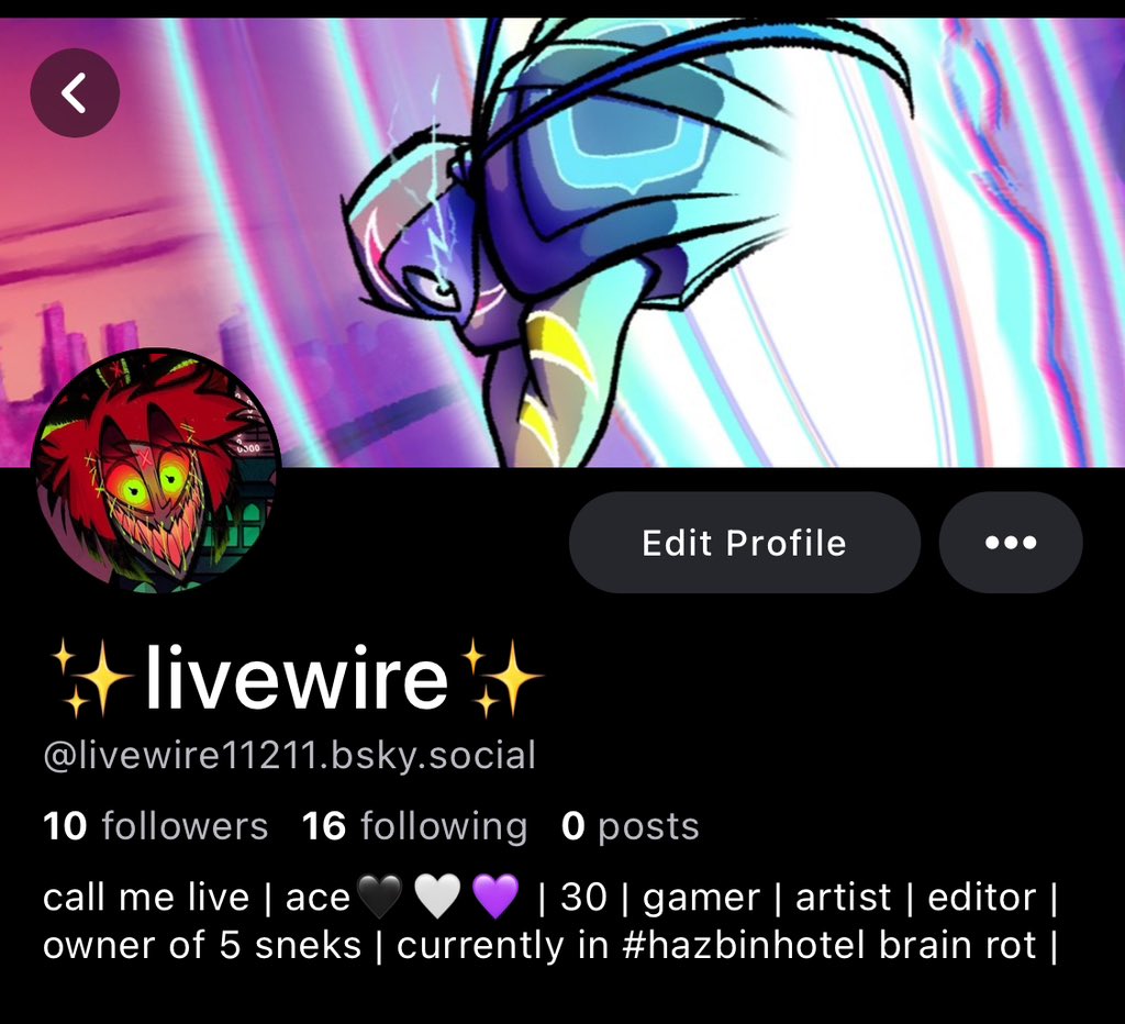 ✨livewire✨ tweet media