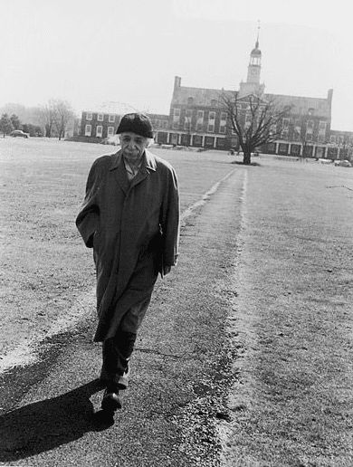 "A new idea comes suddenly and in a rather intuitive way. But intuition is nothing but the outcome of earlier intellectual experience."

- Albert Einstein