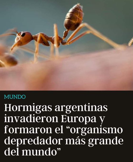 Oíd mortales el grito sagrado