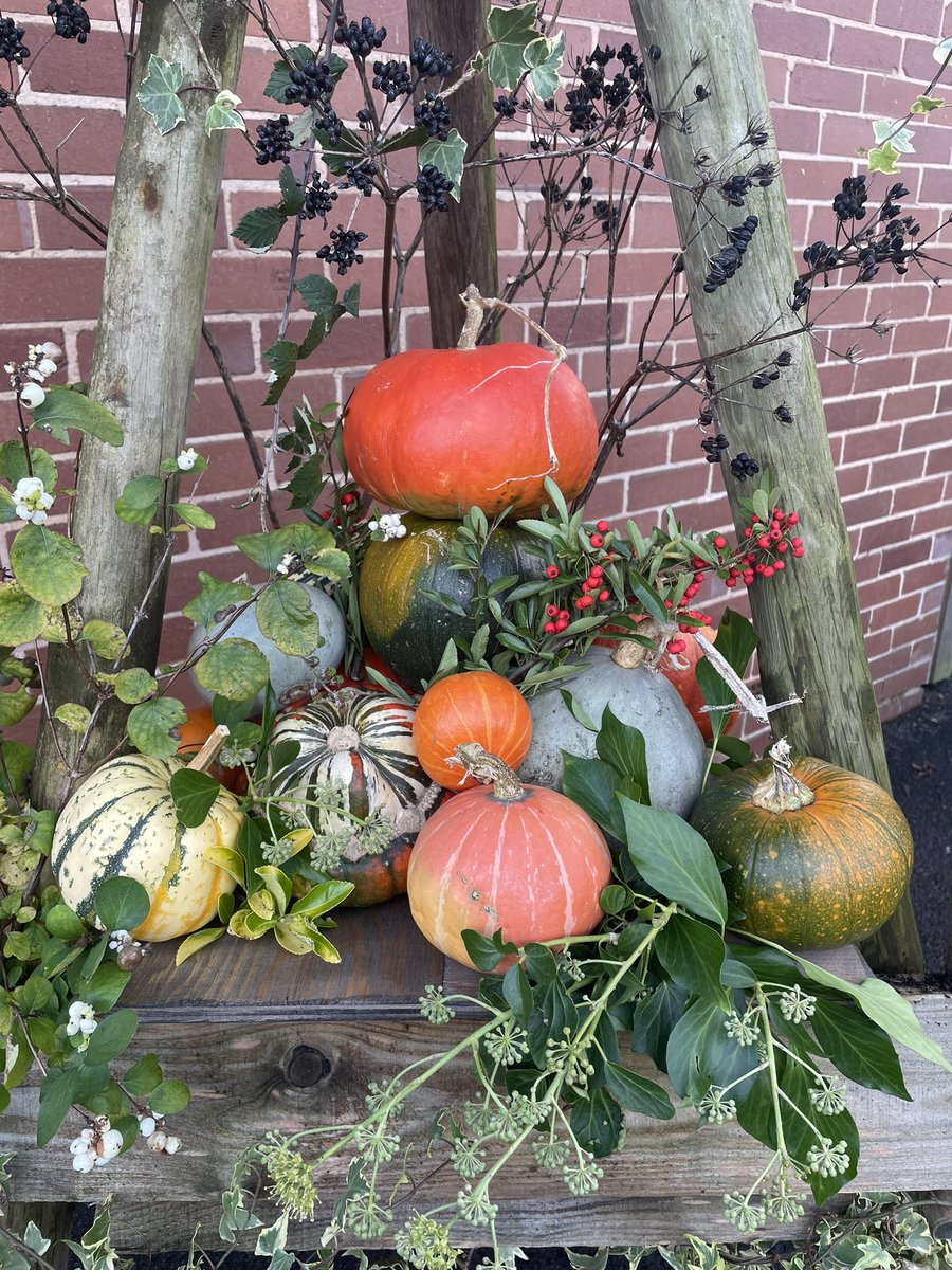 Della Norris (@dellanorrisot) on Twitter photo Creating an autumnal display by the front door with my OT student today with produce grown on site on our allotment.๐ #New Leaf#vocational rehabilitation#mental health#creativity <a href="/DPT_NHS/">Devon Partnership NHS Trust</a> <a href="/UWEOTs/">UWE OT Team</a> Creating an autumnal display by the front door with my OT student today with produce grown on site on our allotment.๐ #New Leaf#vocational rehabilitation#mental health#creativity <a href="/DPT_NHS/">Devon Partnership NHS Trust</a> <a href="/UWEOTs/">UWE OT Team</a>