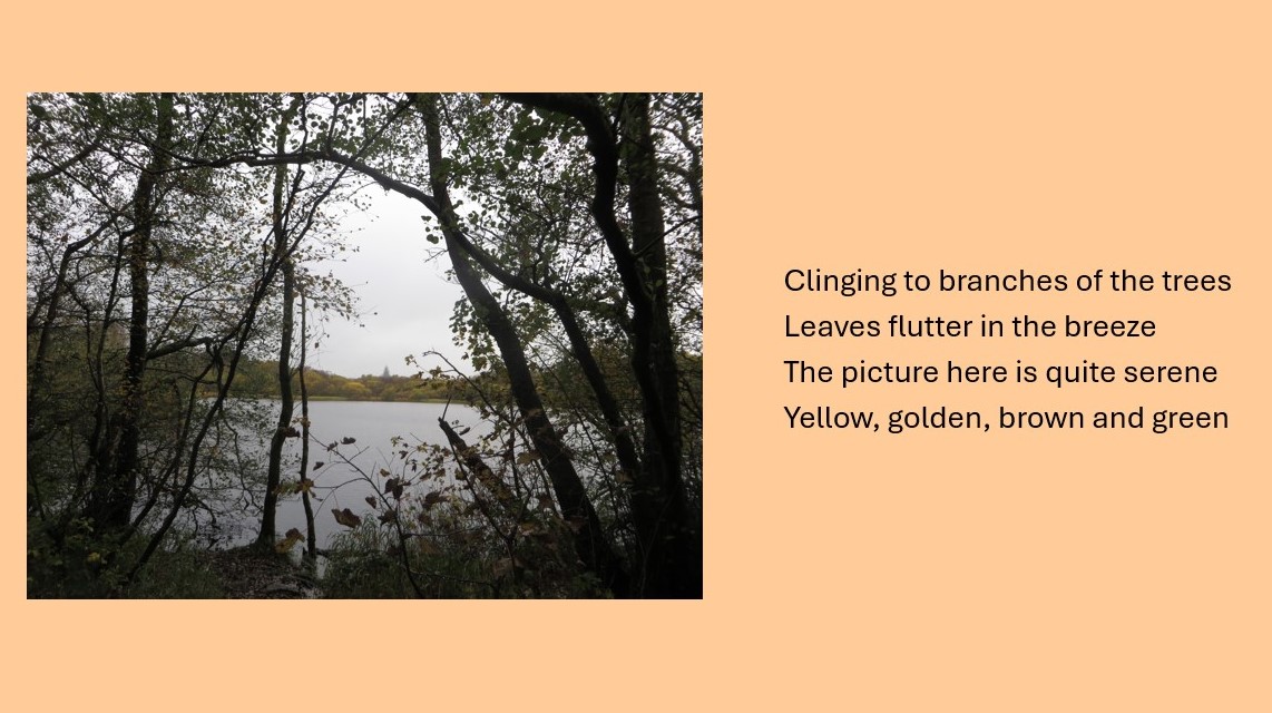 <a href="/Mrsablund/">Abigail Lund</a> Clinging to branches of the trees
Leaves flutter in the breeze
The picture here is quite serene
Yellow, golden, brown and green 

#CLMooc #WriteOut #WriteOut2024 @WriteOutConnect