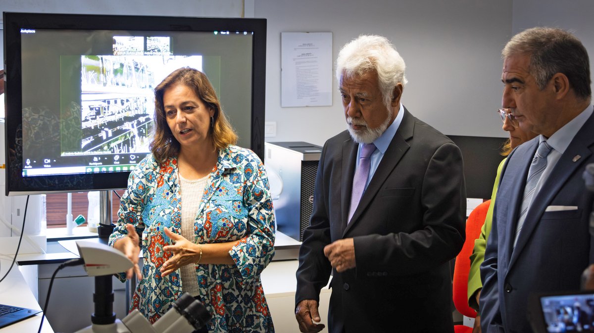 Azores Deep-Sea Research tweet media