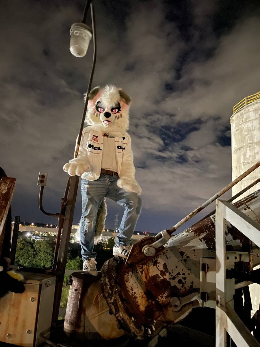 MarbleDog @ LVFC tweet media