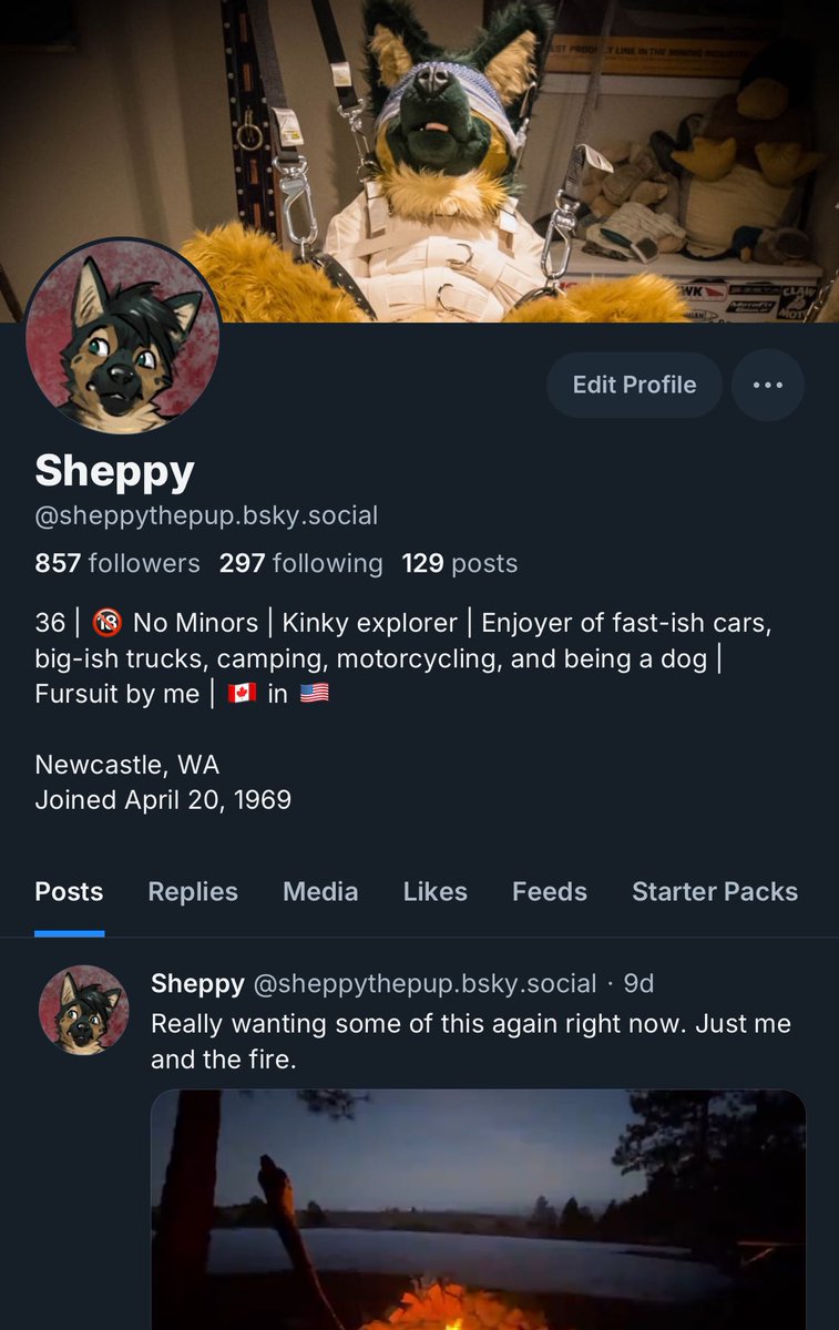 Sheppy 🏳️‍🌈 | FWA tweet media