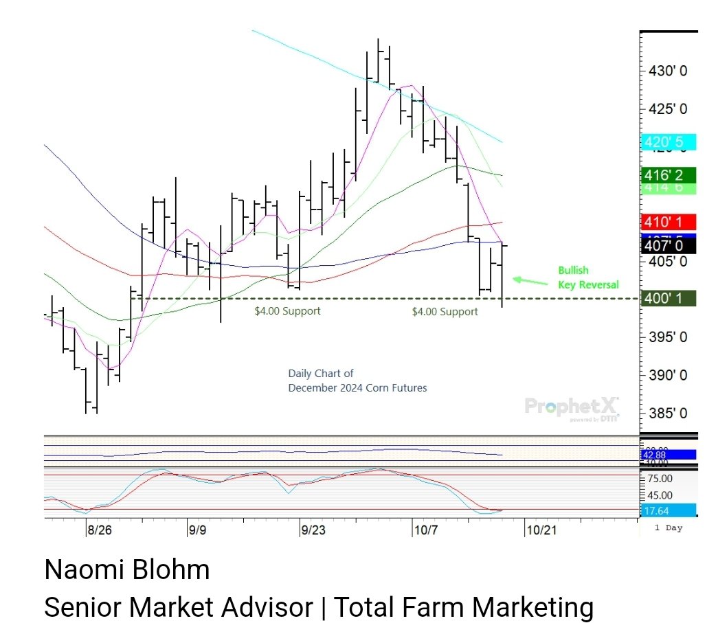 naomiblohm's tweet photo. 📢 After testing $4.00 support for the past 3 trading sessions (and drumming up some serious export business) today, there is a bullish key reversal on the daily chart for December 2024 #corn futures. 🌽 https://t.co/bRVul22DRr