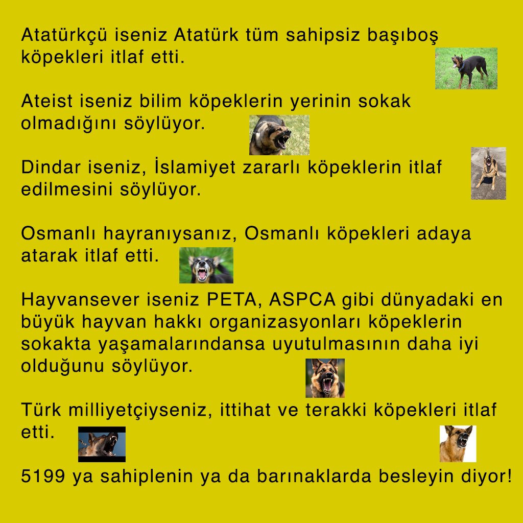 dirilisyolunda's tweet image. Başıboş köpekleri ya sahiplenin ya da barınaklara koyun.

Başıboş köpek olmaz. 5199 kırmızı çizgimizdir.

  Dursun Özbek #mnetur ToplumGenel AffaHazır BJK SuperApp #nasuhmahrukiyalnızdeğildir