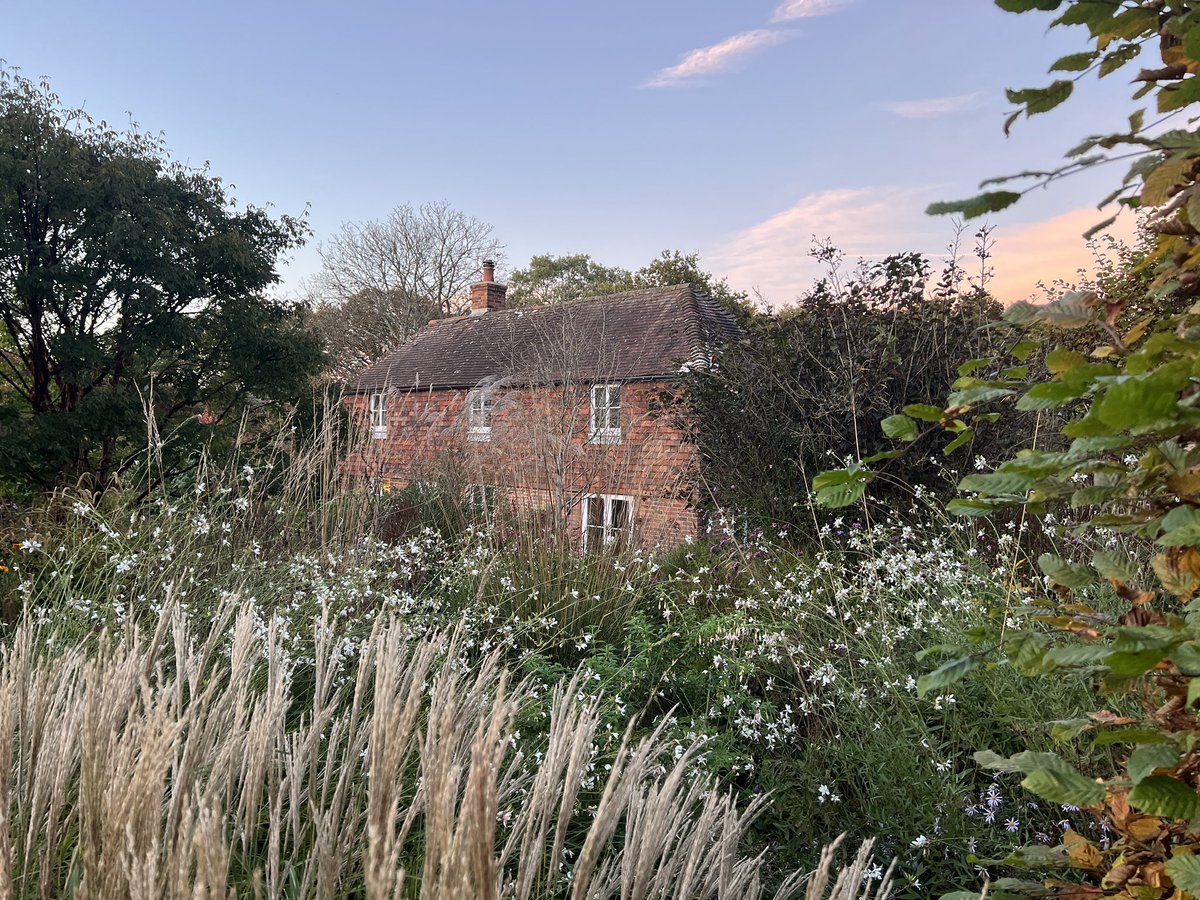 PelhamPlants's tweet photo. Hello autumn 🍂 😍

#autumn #autumnvibes🍁 #autumngarden #sussexgardens #gardensofsussex #cottage #cottagegarden #garden #gardens #gardener #pelhamplants #pelhamplantsnursery https://t.co/BkdphGW2Cf