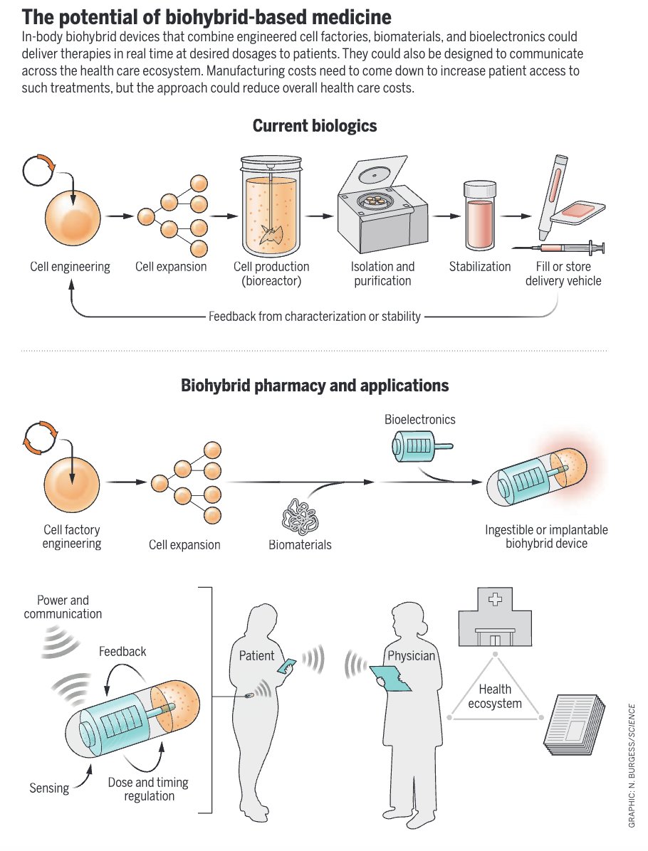 EricTopol's tweet photo. On demand, in the body, cell-based therapies are in the pipeline
https://t.co/7GuBWzV3kY @ScienceMagazine @jrivnay @veiseho https://t.co/JRCH04UrmZ