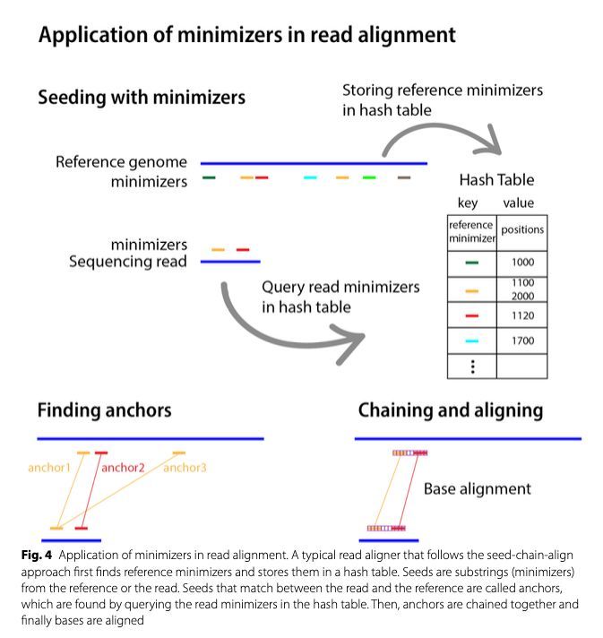 strnr's tweet photo. (Review) When less is more: sketching with minimizers in genomics https://t.co/6cq3ltKb6x 🧬🖥️ https://t.co/EzwHDhBNGt
