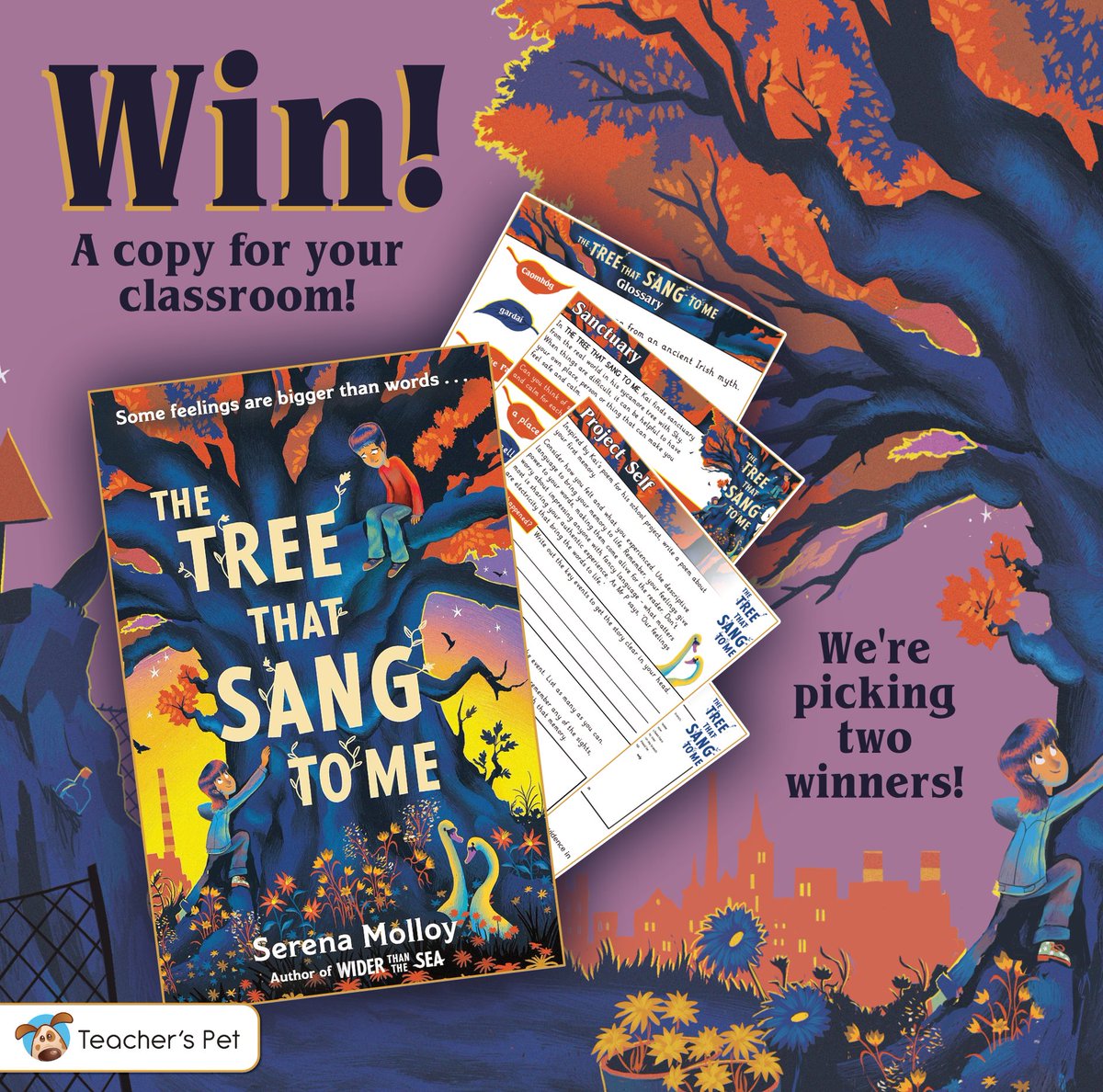 Teacher's Pet Classroom Resources tweet media