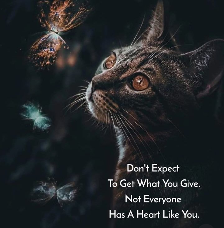 When you expect with others like you❤️
But they don't do like that 
Then you feeling like this