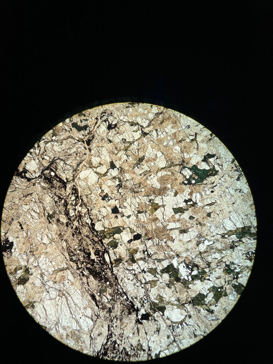 Lynn (Gerilyn) Soreghan tweet media